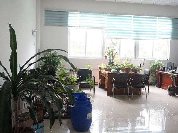 威尼斯集团印象